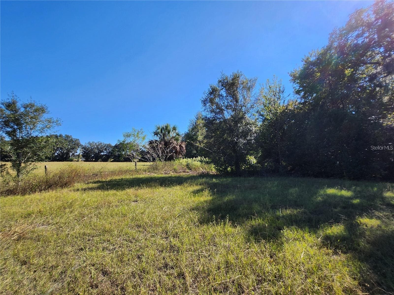 View from Inside the Lot Facing East - TBD SW 175 CT, DUNNELLON