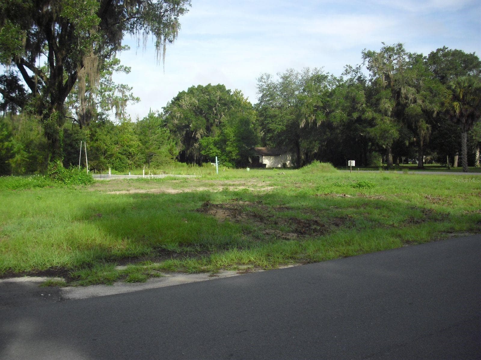 View Across the Street Facing West - TBD SW 175 CT, DUNNELLON