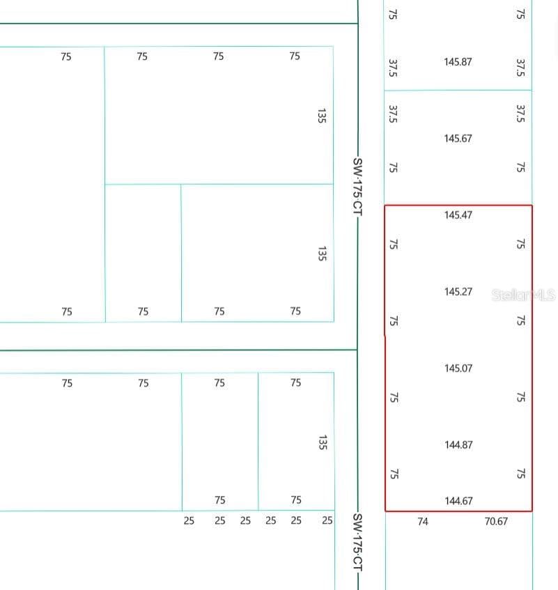 Road View & Dimension View - TBD SW 175 CT, DUNNELLON