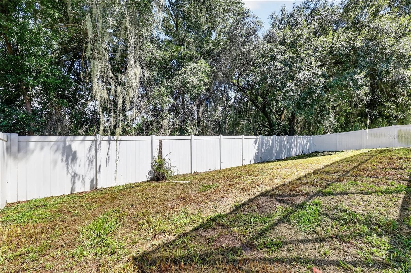Single Family Residence at 5042 RISHLEY RUN WAY, MOUNT DORA, photo 39 of 48