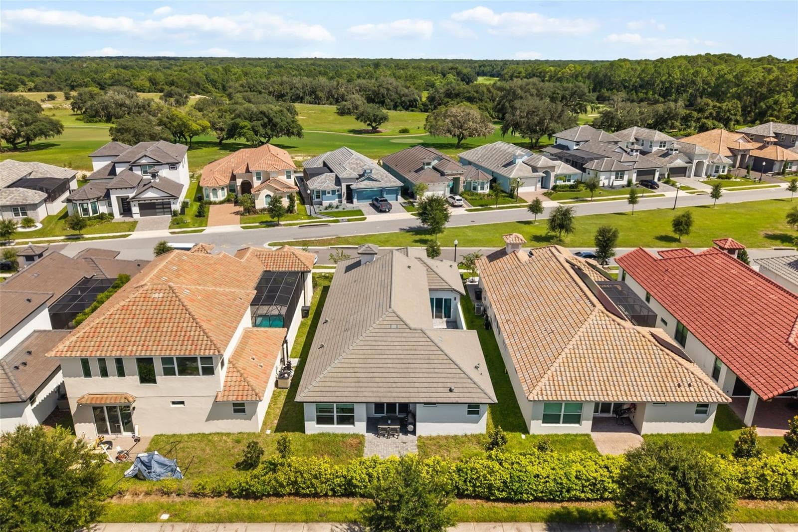 Drone back - 260 HAMPTON LOOP, DAVENPORT