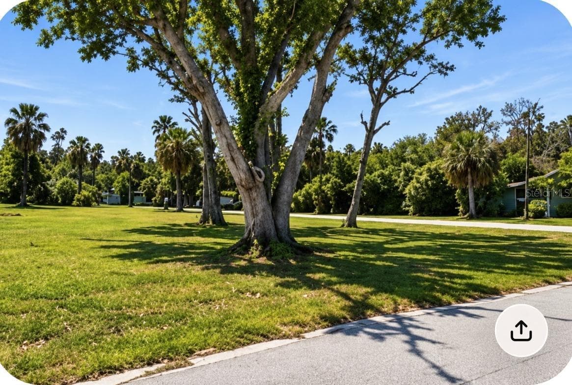 Land at 7653 PIER RD, PORT RICHEY, photo 2 of 3