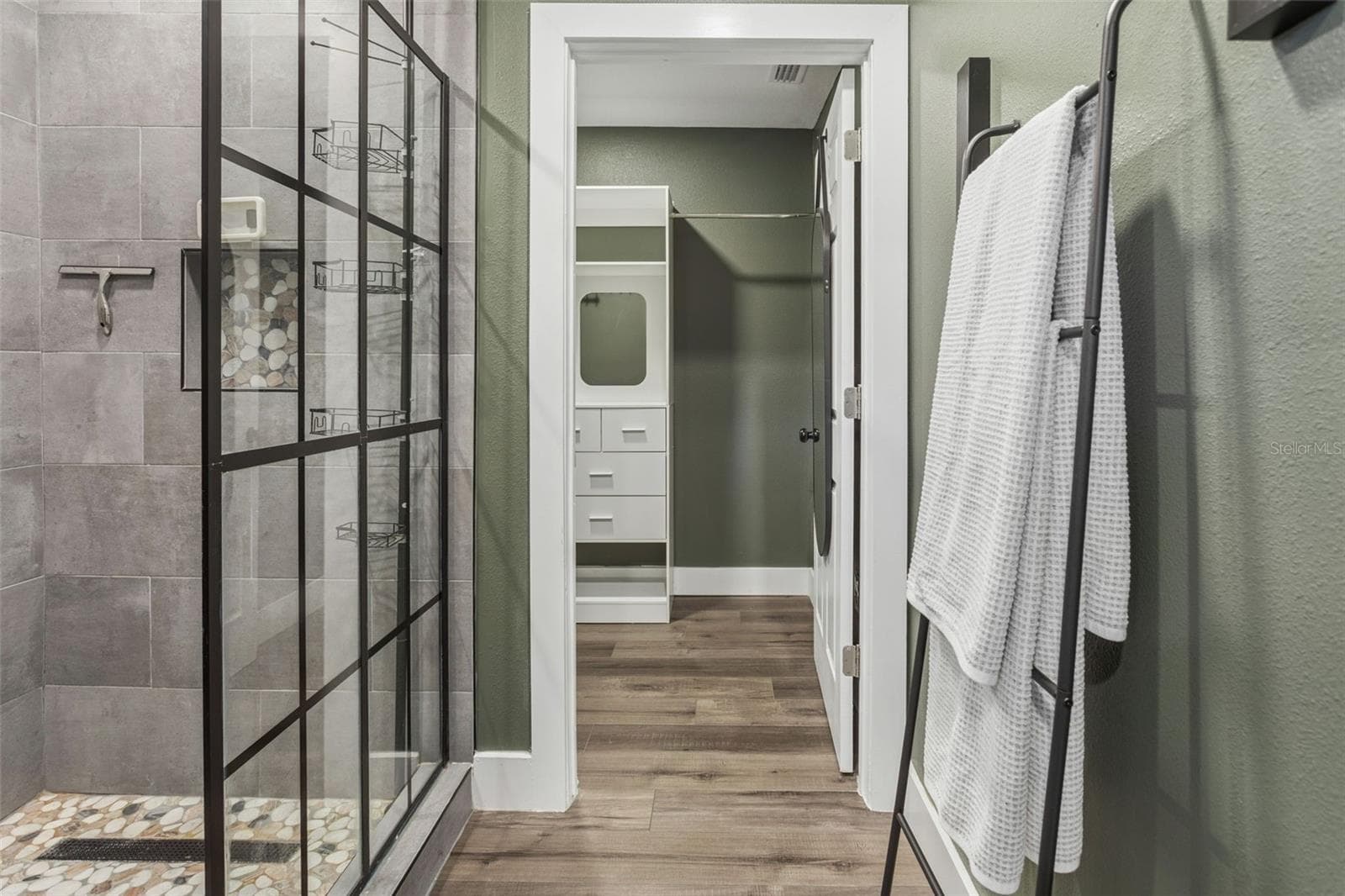 Primary Shower & Walk-In Closet - 10420 N HAMNER AVE, TAMPA