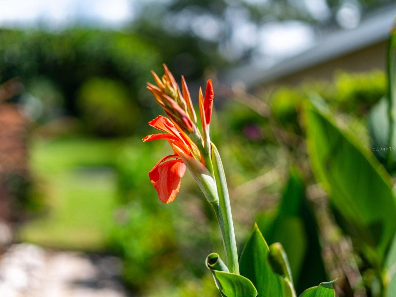 Single Family Residence at 864 BENTLEY GREEN CIR, WINTER SPRINGS, photo 51 of 58
