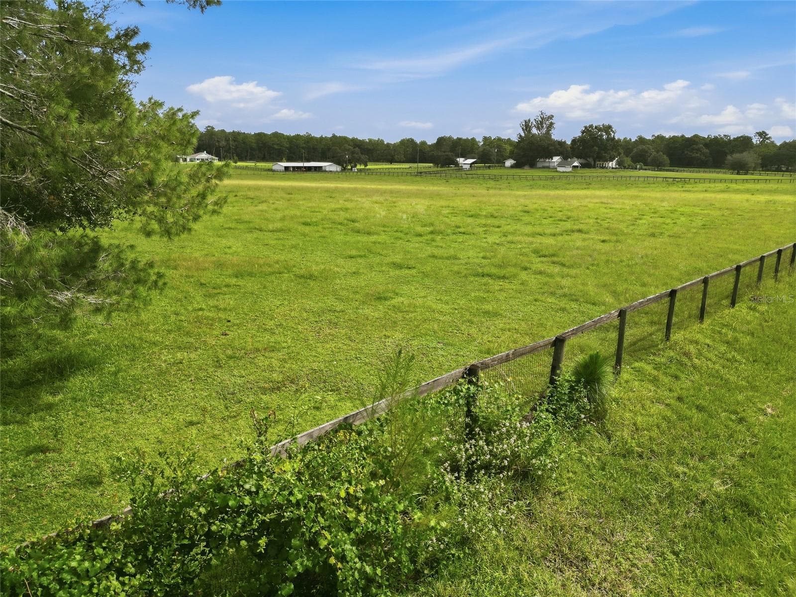 Land at 27083 OSAGE ST, BROOKSVILLE, photo 8 of 12