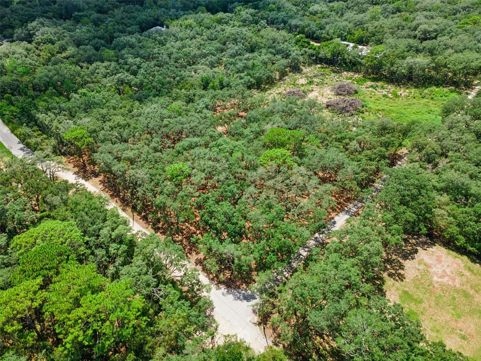 Land at 17206 RED BIRD RD, WINTER GARDEN, photo 2 of 14