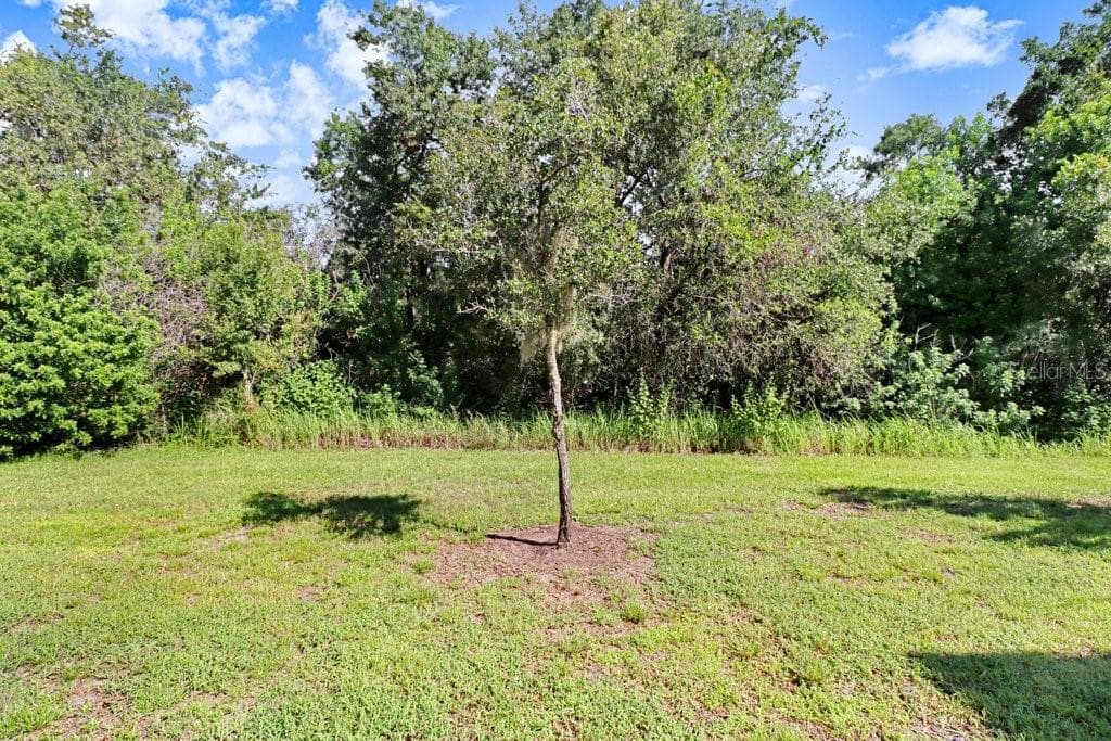 Peaceful backyard - 9536 PEMBROOKE PINES DR, SUN CITY CENTER