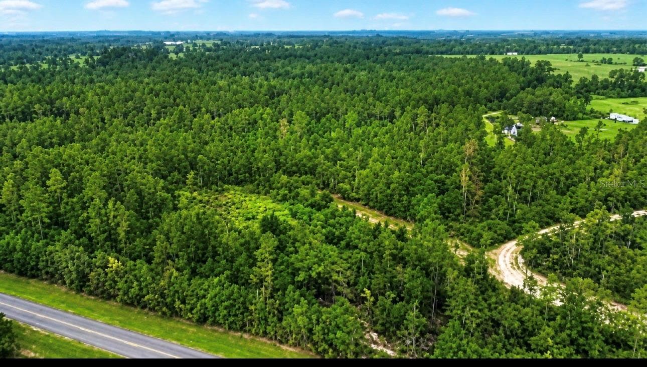 Land at SW CO RD 249, JASPER, photo 4 of 7