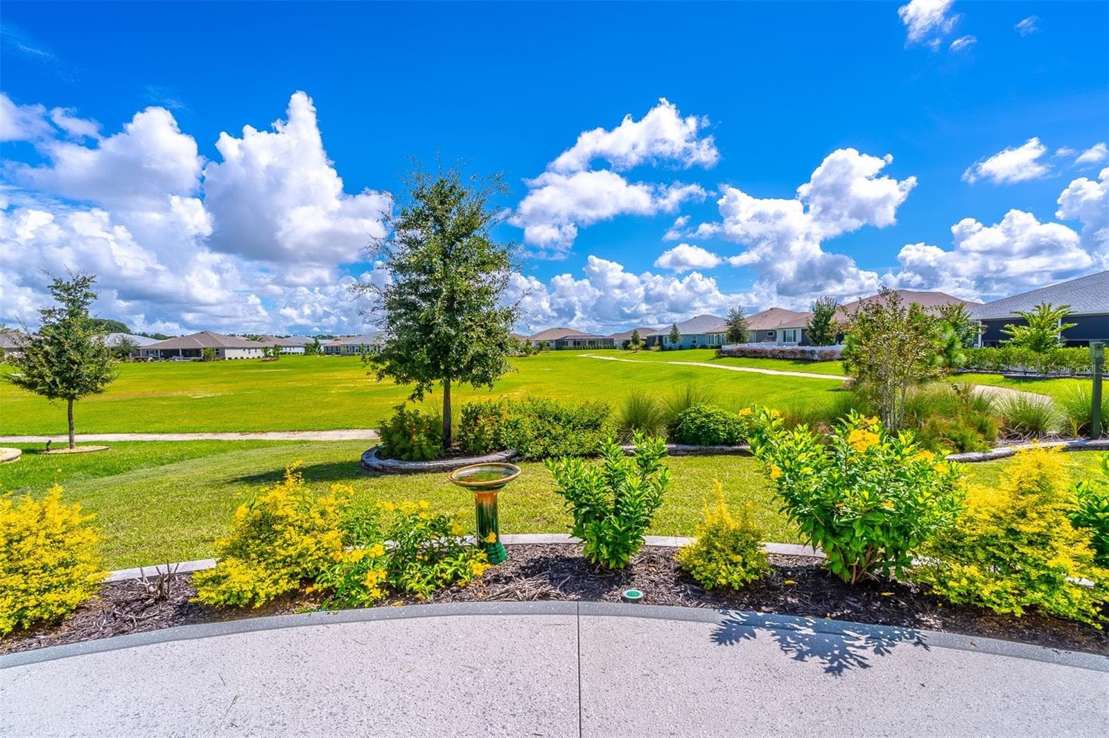 View from Lanai - 8149 SW 96TH TERRACE RD, OCALA