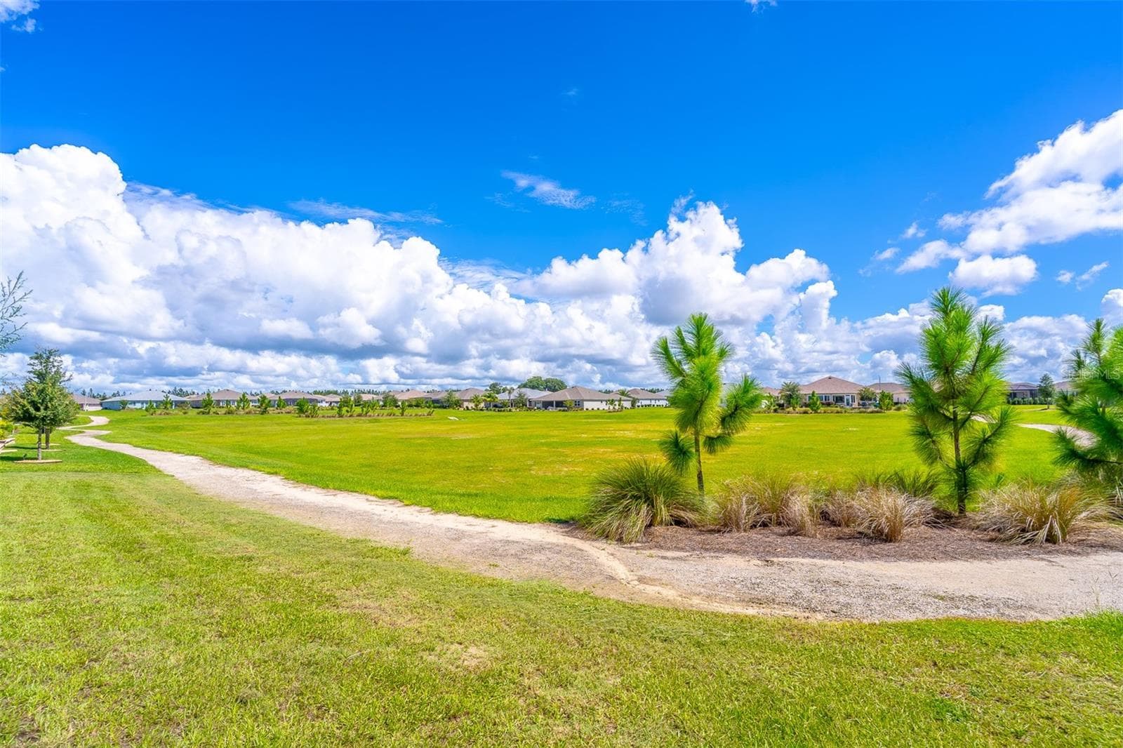 Open and Private - 8149 SW 96TH TERRACE RD, OCALA