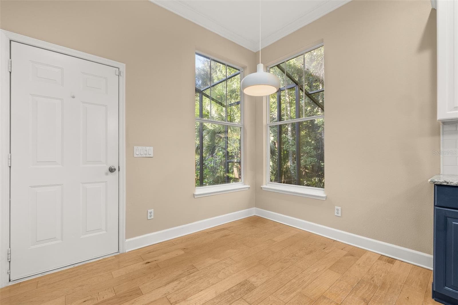 Single Family Residence at 1024 BANKS ROSE ST, CELEBRATION, photo 49 of 127
