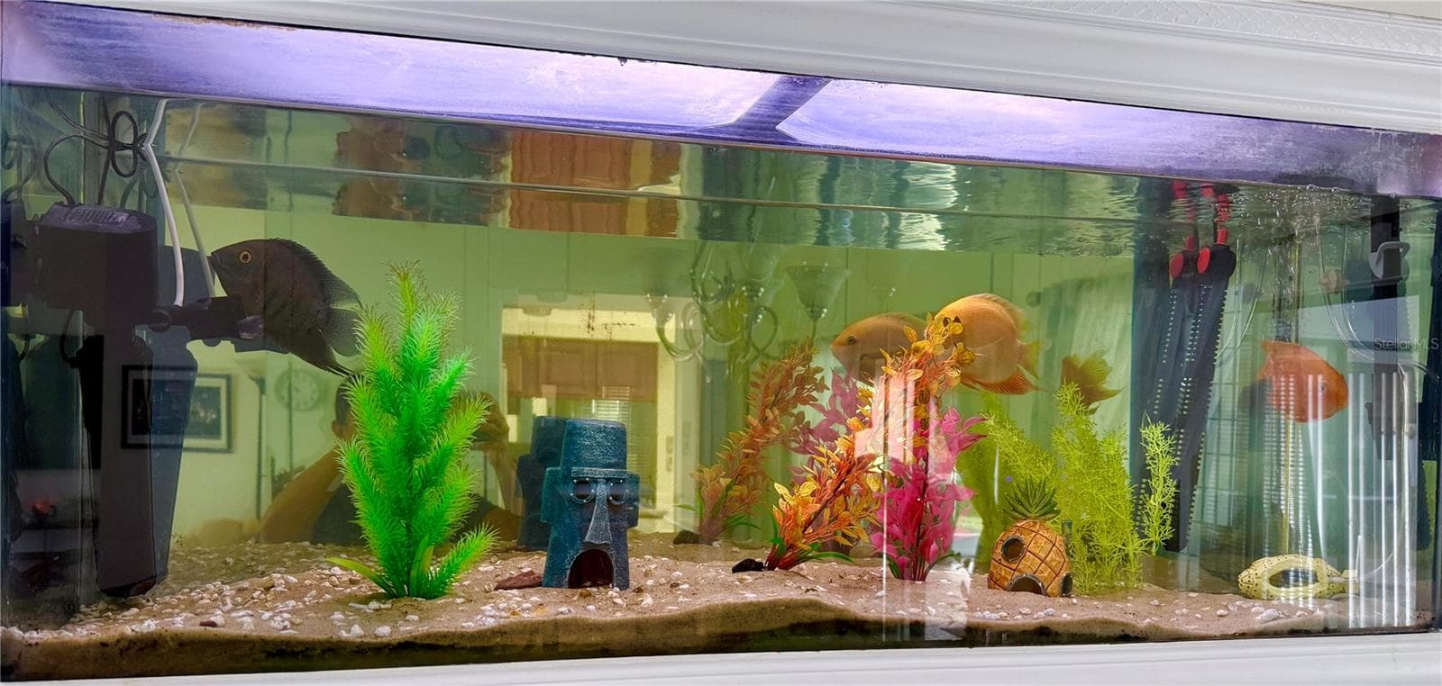 Fresh water fish tank. Can be removed - 8612 BRAXTON DR, HUDSON