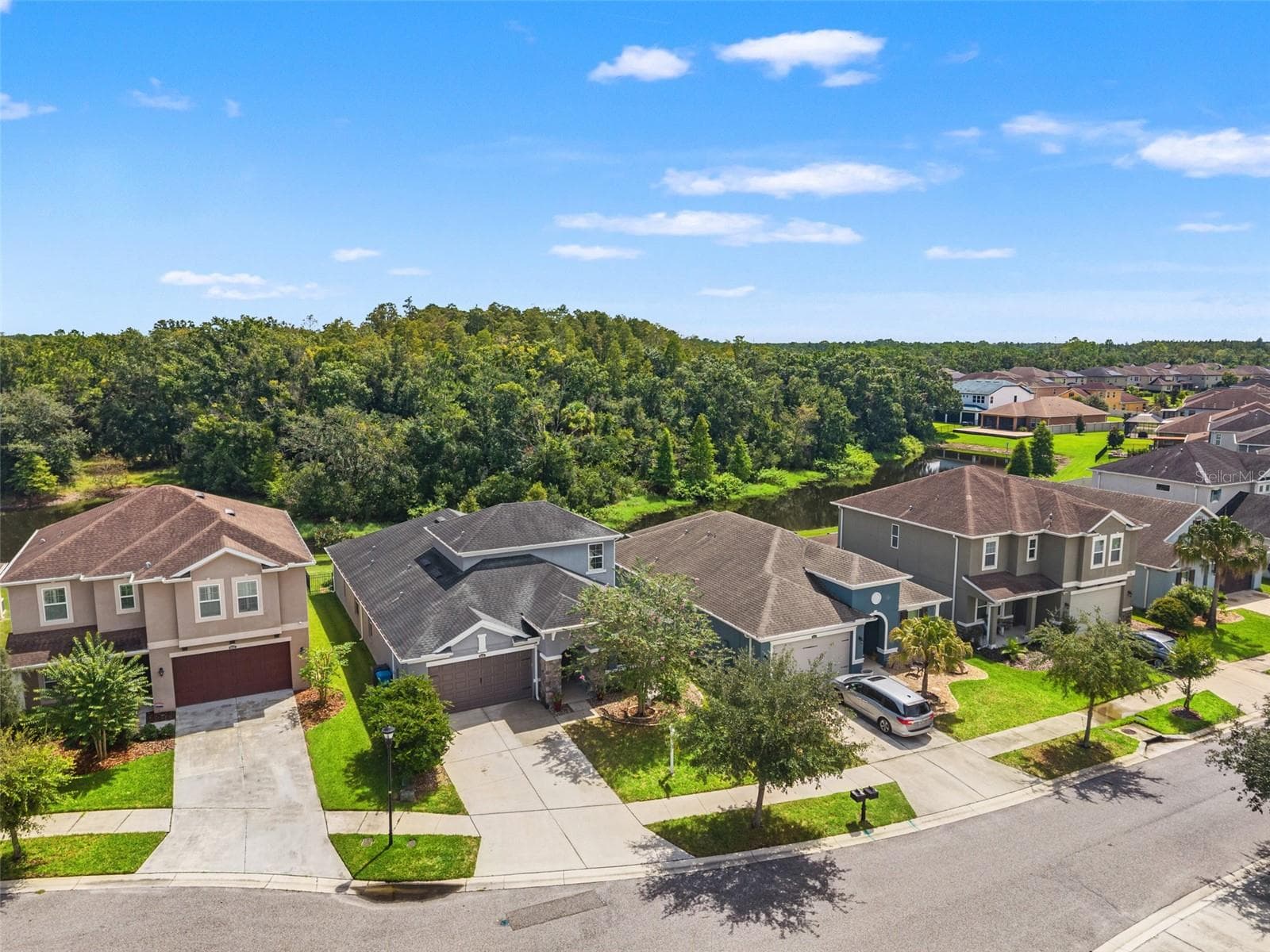 Single Family Residence at 16361 HYDE MANOR DR, TAMPA, photo 55 of 59