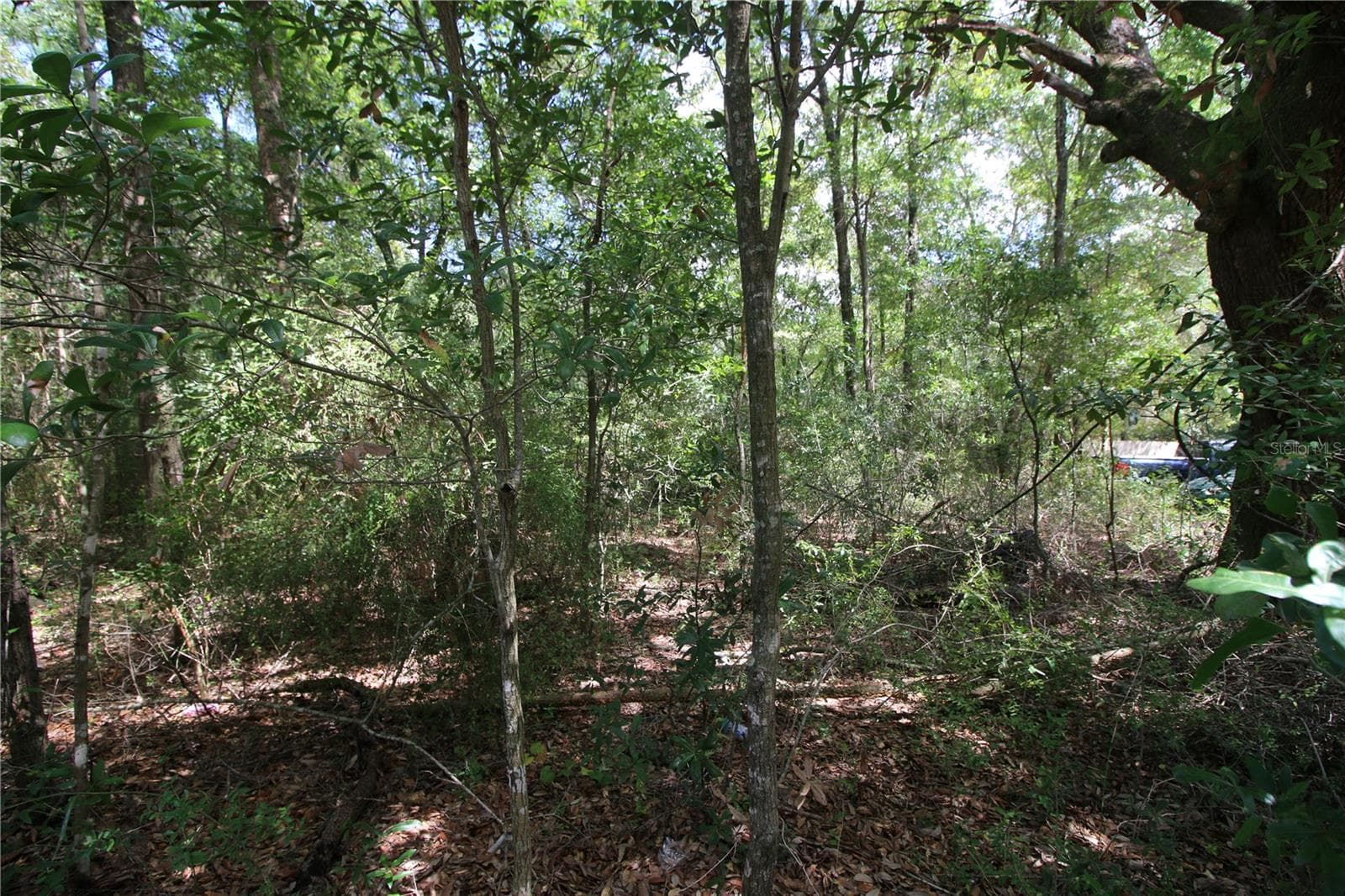 Land at WASHINGTON ST, MILTON, photo 7 of 14