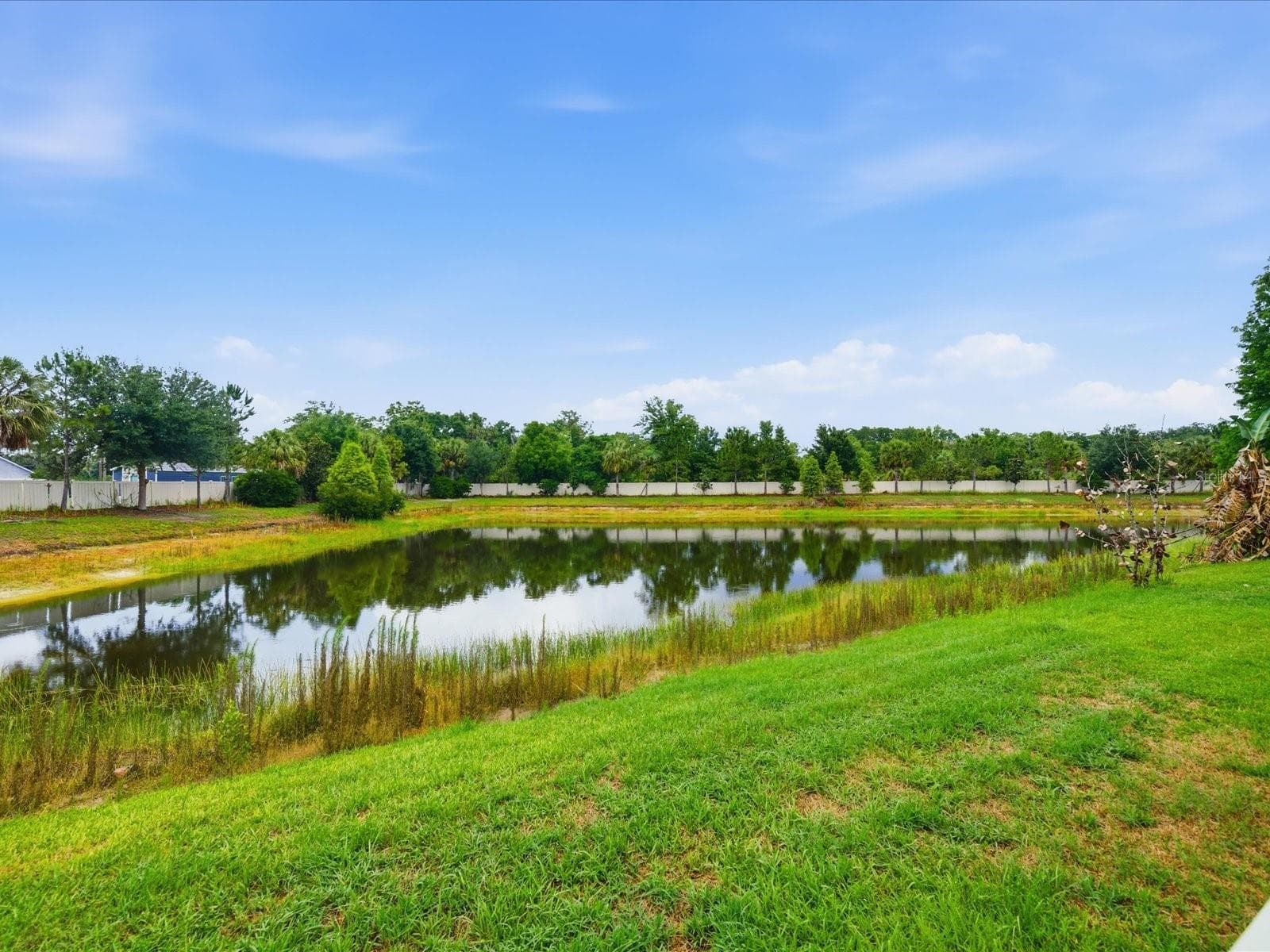Single Family Residence at 17735 BRIGHT WHEAT DR, LITHIA, photo 41 of 49