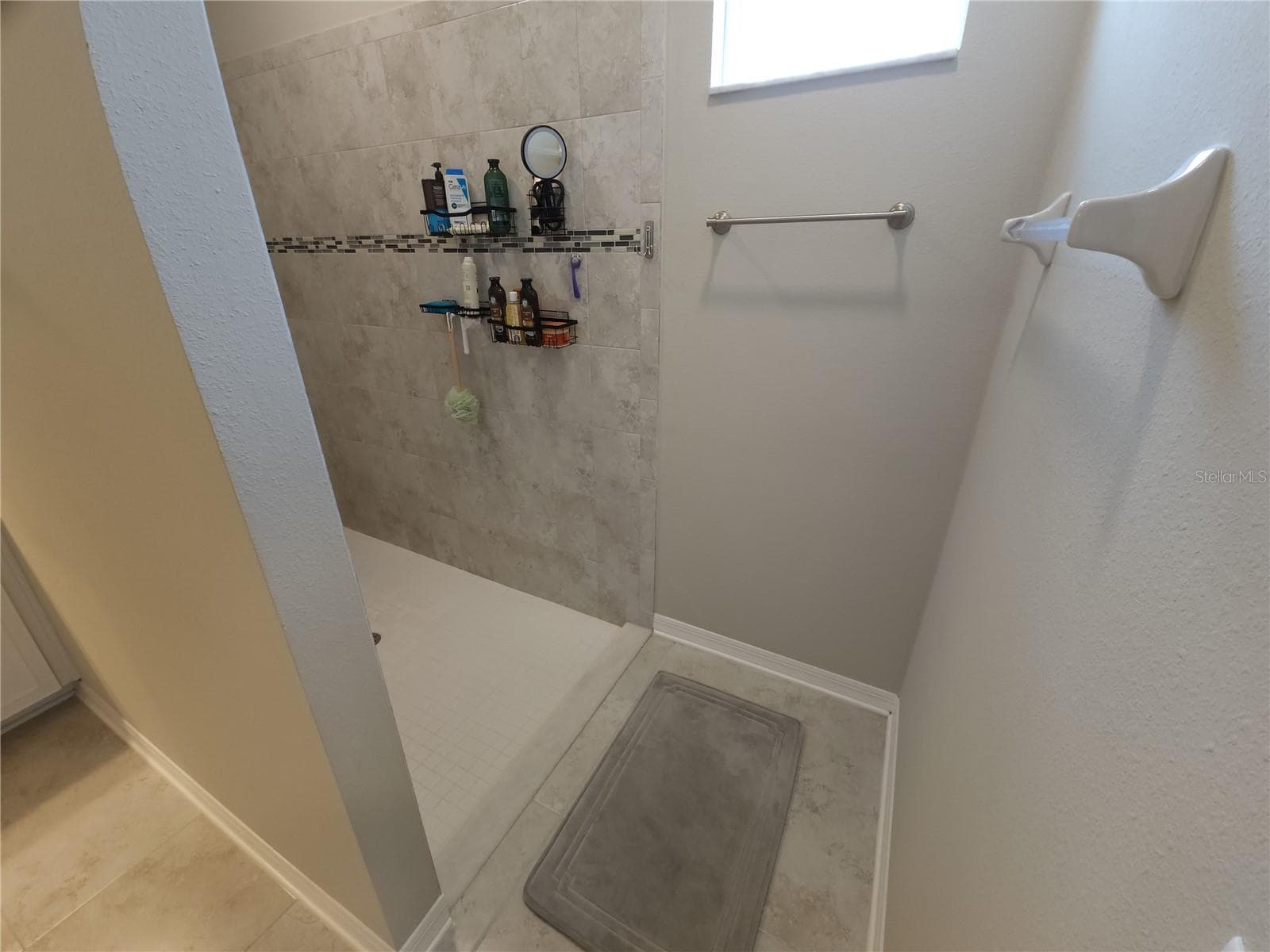 Single Family Residence at 9342 CRESCENT RAY DR, WESLEY CHAPEL, photo 31 of 54