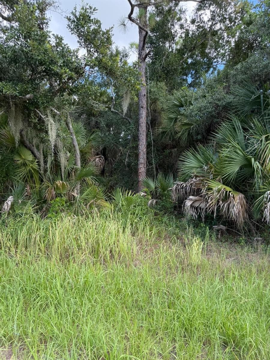 Land at 15020 ELWOOD AVE, PORT CHARLOTTE, photo 2 of 8