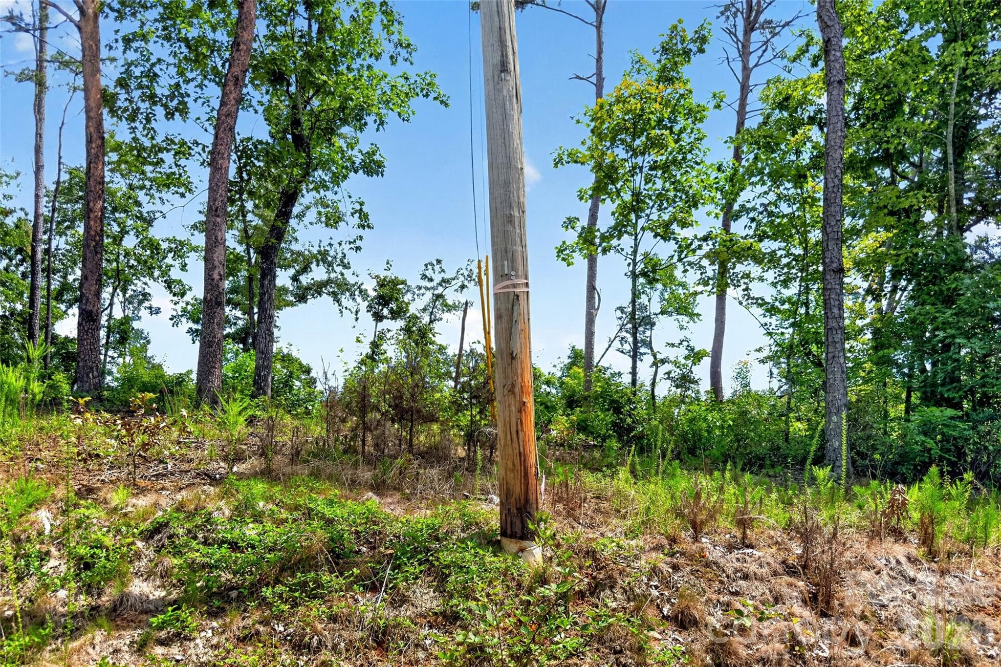 Acreage at TBD Boland Drive, Lake Lure, photo 2 of 30