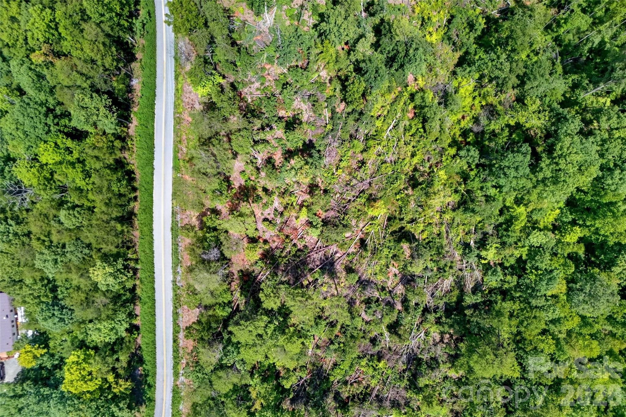 Acreage at TBD Boland Drive, Lake Lure, photo 15 of 30