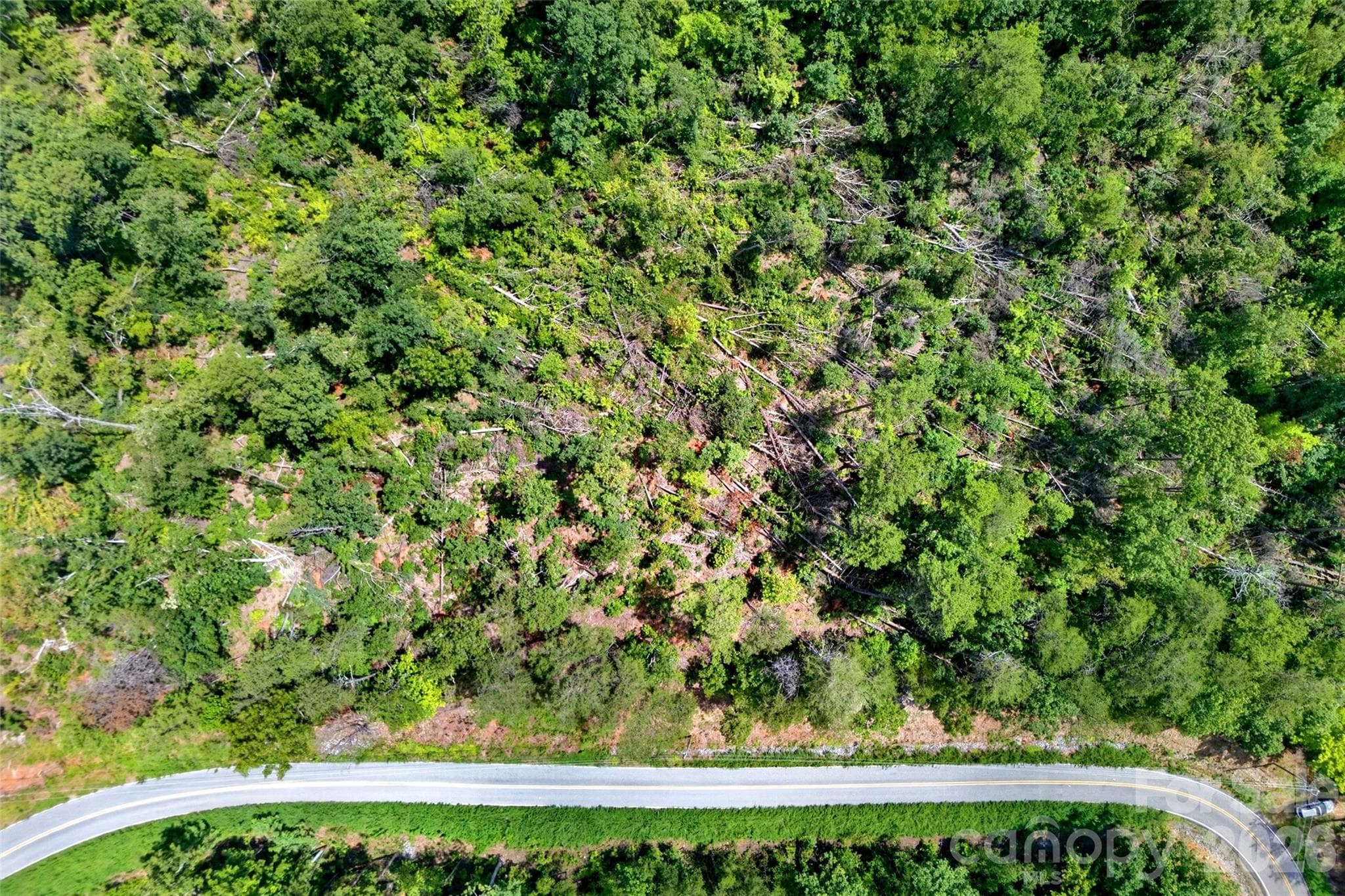 Acreage at TBD Boland Drive, Lake Lure, photo 16 of 30
