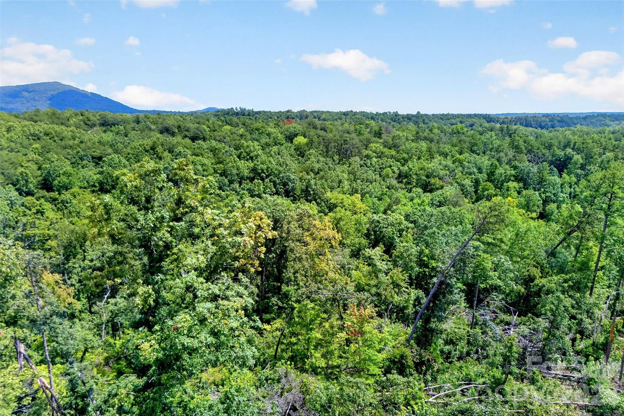 Acreage at TBD Boland Drive, Lake Lure, photo 17 of 30