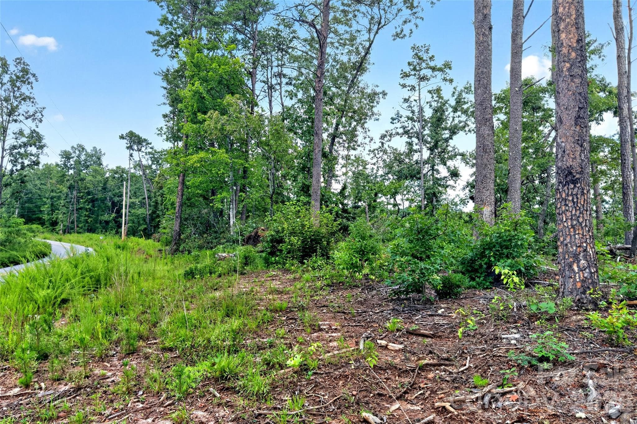Acreage at TBD Boland Drive, Lake Lure, photo 19 of 30