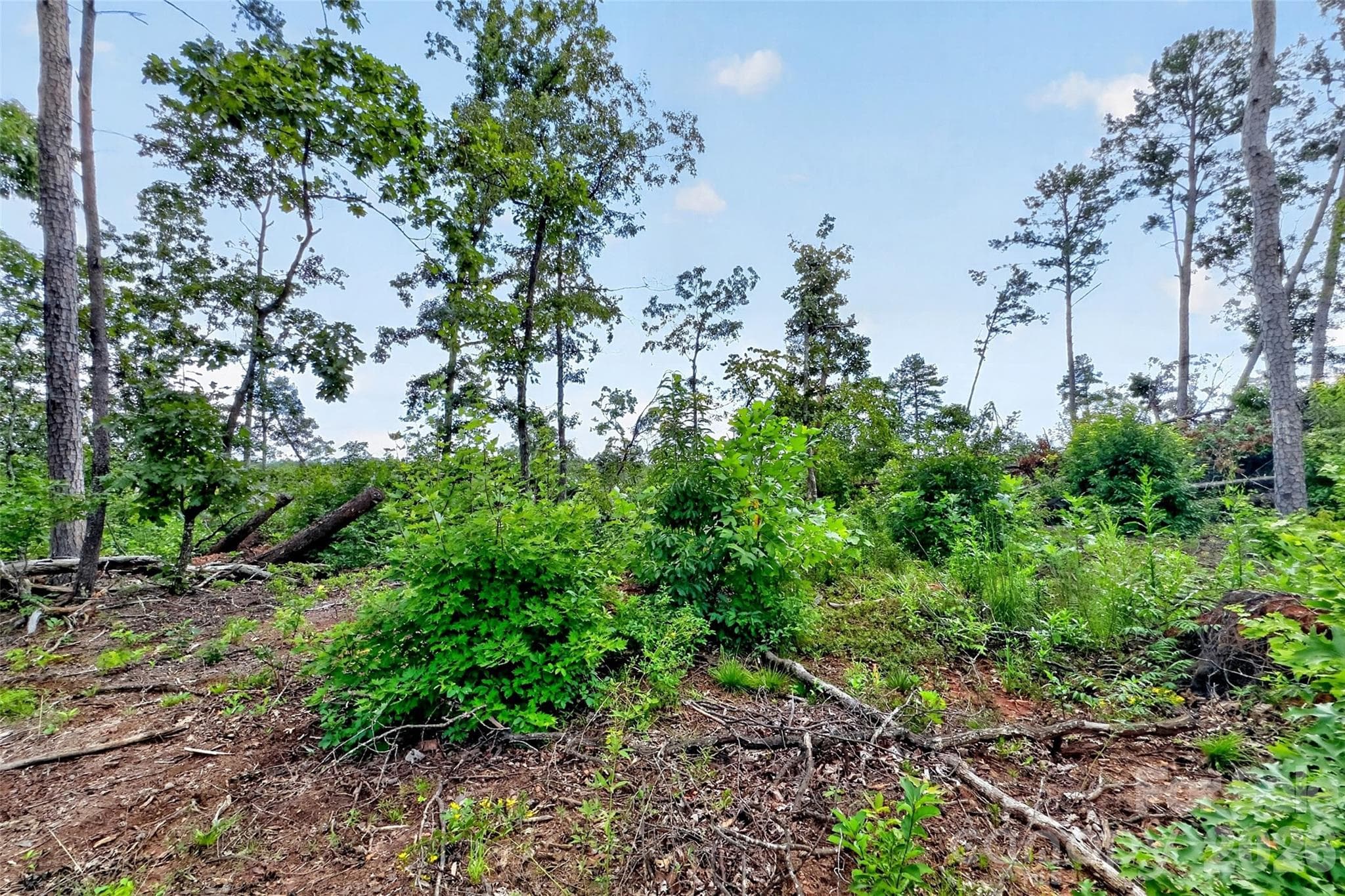 Acreage at TBD Boland Drive, Lake Lure, photo 21 of 30