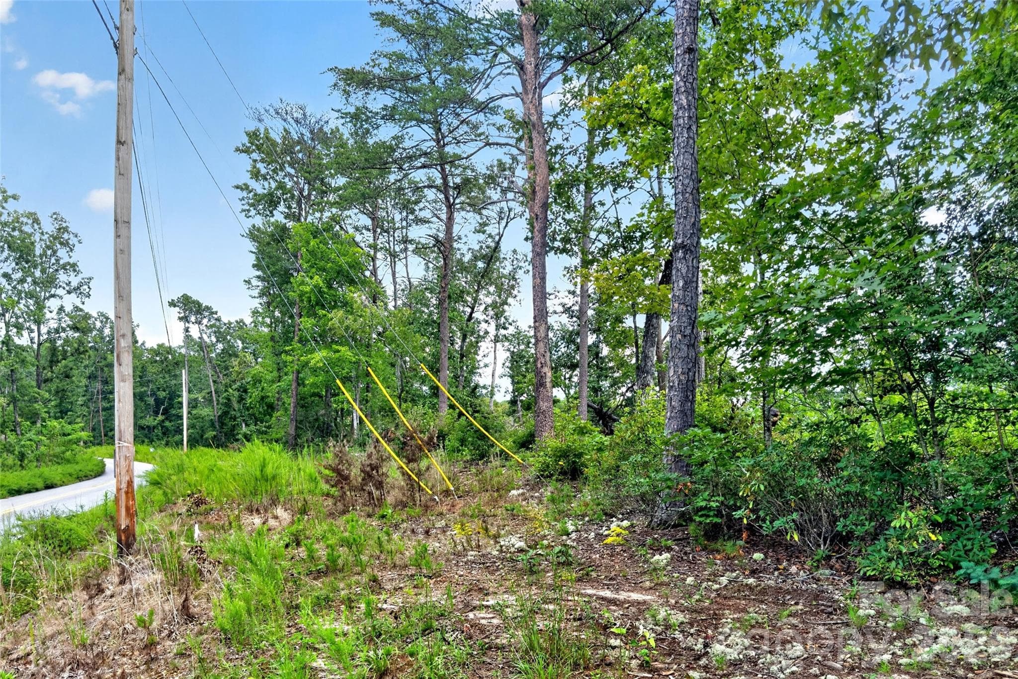 Acreage at TBD Boland Drive, Lake Lure, photo 23 of 30