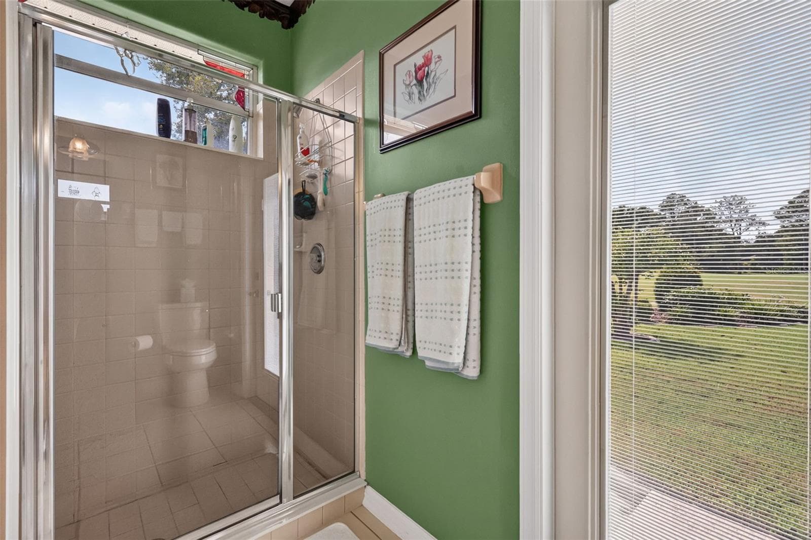 Single Family Residence at 9036 LAUREL RIDGE DR, MOUNT DORA, photo 29 of 45
