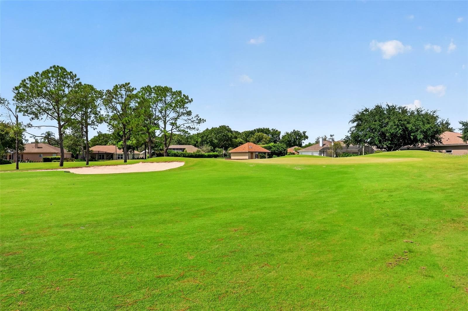 Single Family Residence at 9036 LAUREL RIDGE DR, MOUNT DORA, photo 42 of 45
