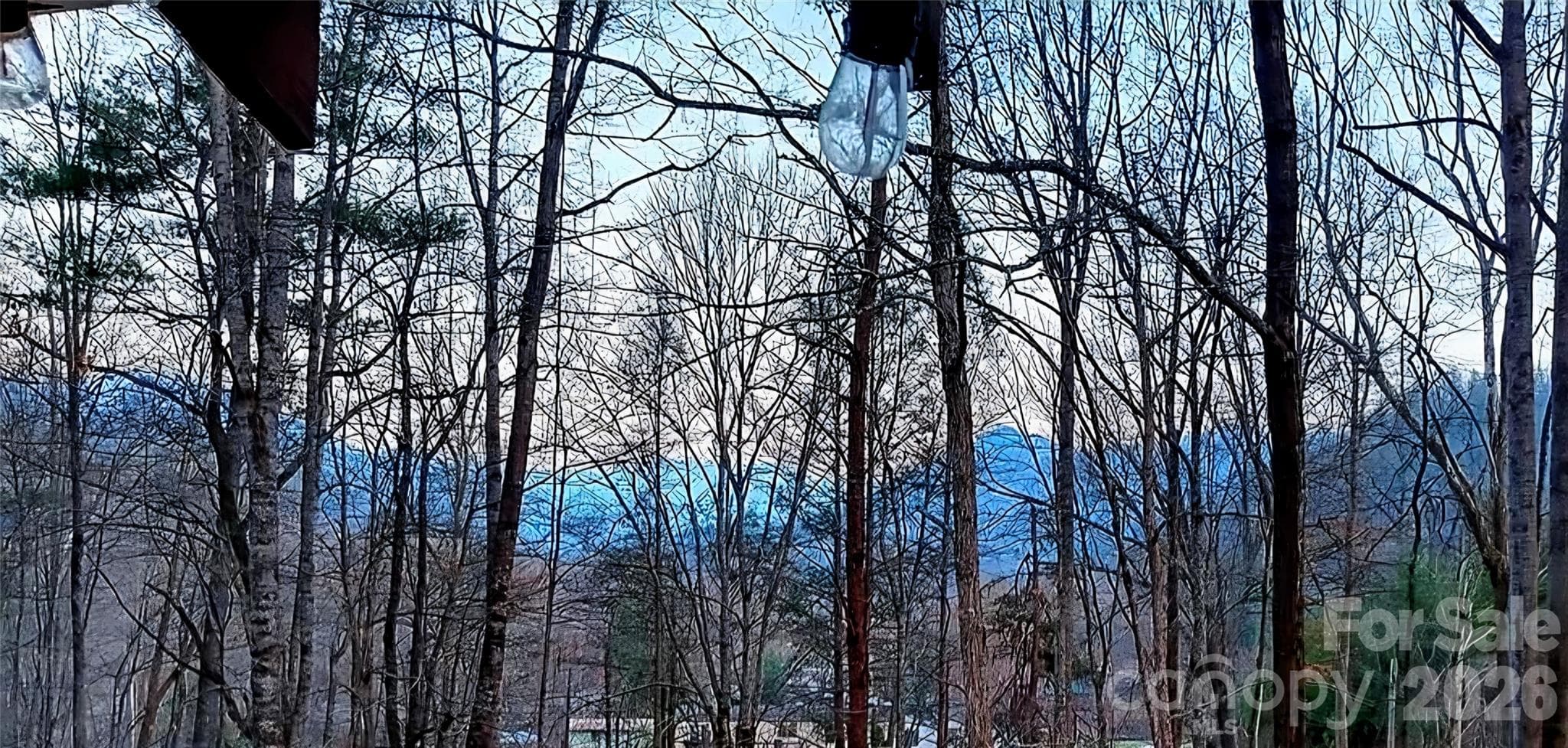 Expansive Views in Winter - 174 Nix Creek Road, Canton