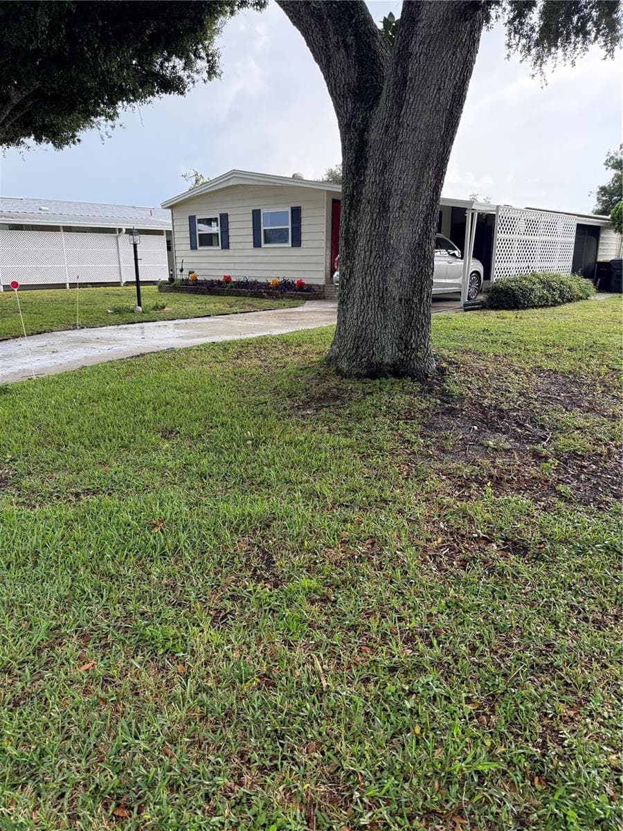 Spacious land - 6204 KNOTTY PINE DR SE, WINTER HAVEN
