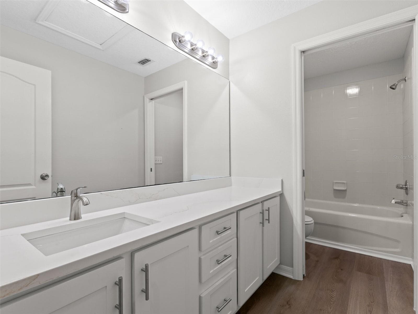Upstairs bathroom with separate tub and toilet room attached - 17912 HAVENVIEW LN, LUTZ