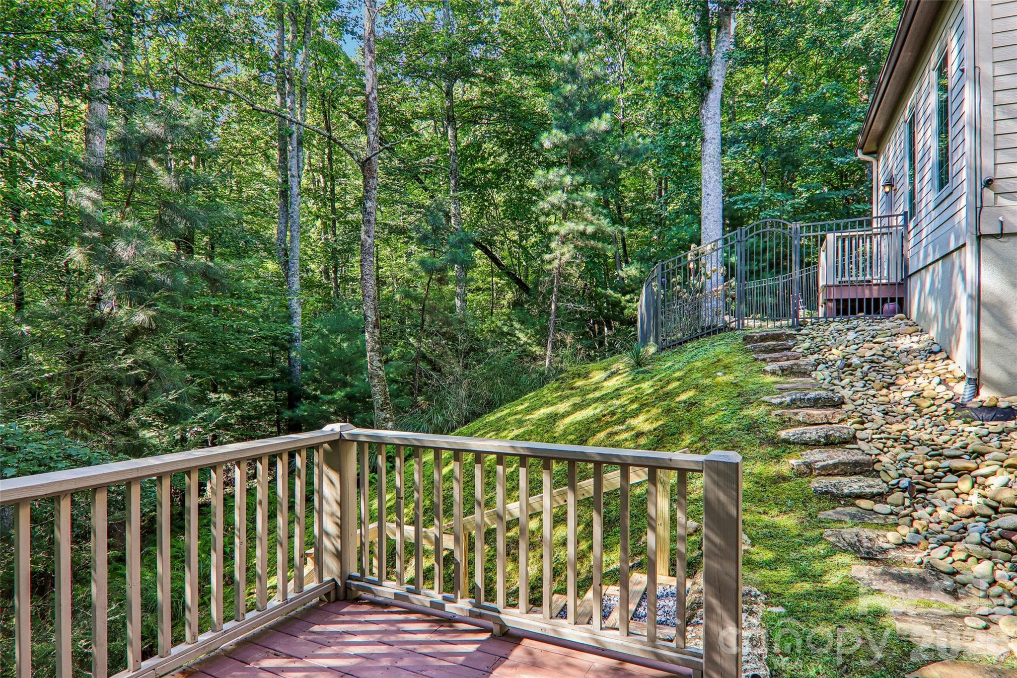 Backyard view - 361 Mills River Way, Horse Shoe