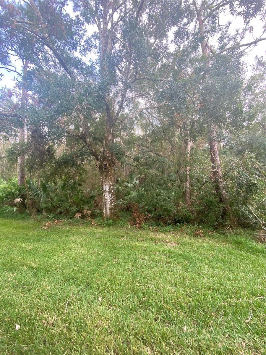 Townhouse at 8547 HUNTERS KEY CIR, TAMPA, photo 25 of 25