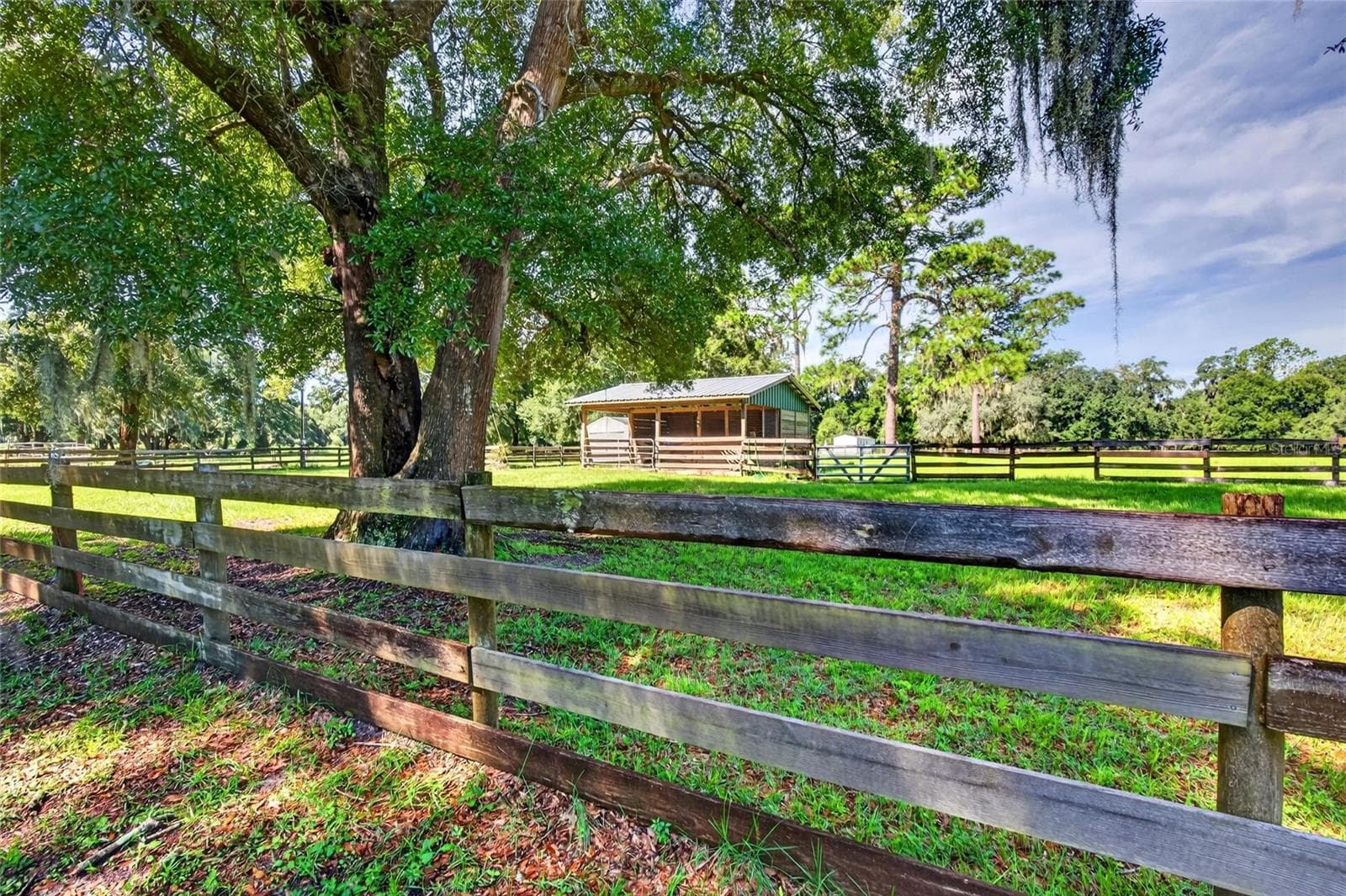 Farm at 12550 SW 16TH AVE, OCALA, photo 7 of 51