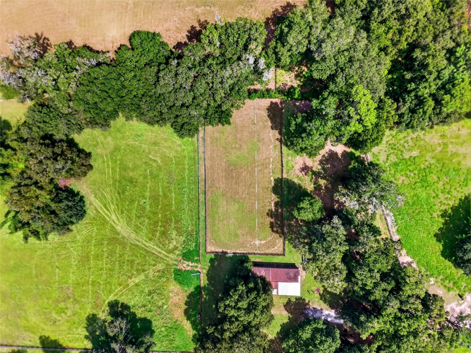 Farm at 12550 SW 16TH AVE, OCALA, photo 47 of 51
