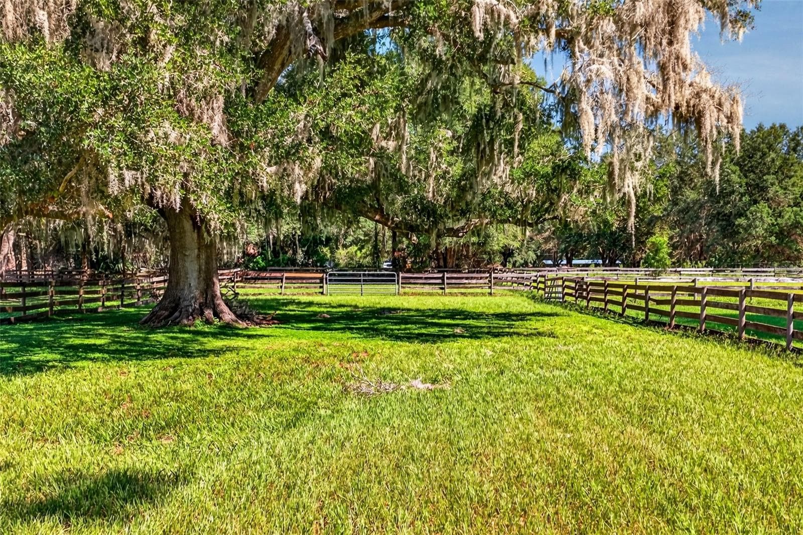 Farm at 12550 SW 16TH AVE, OCALA, photo 48 of 51