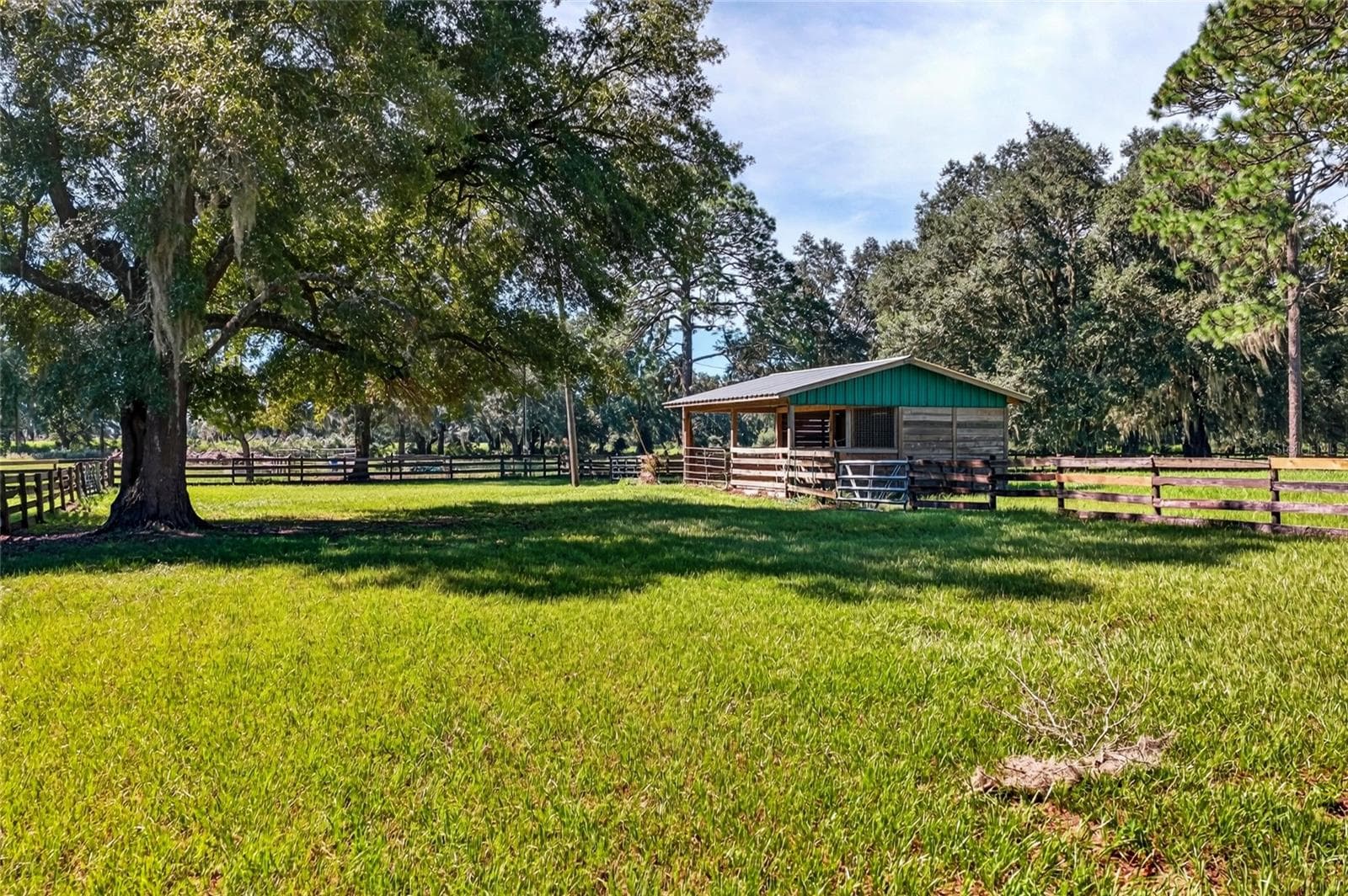 Farm at 12550 SW 16TH AVE, OCALA, photo 49 of 51