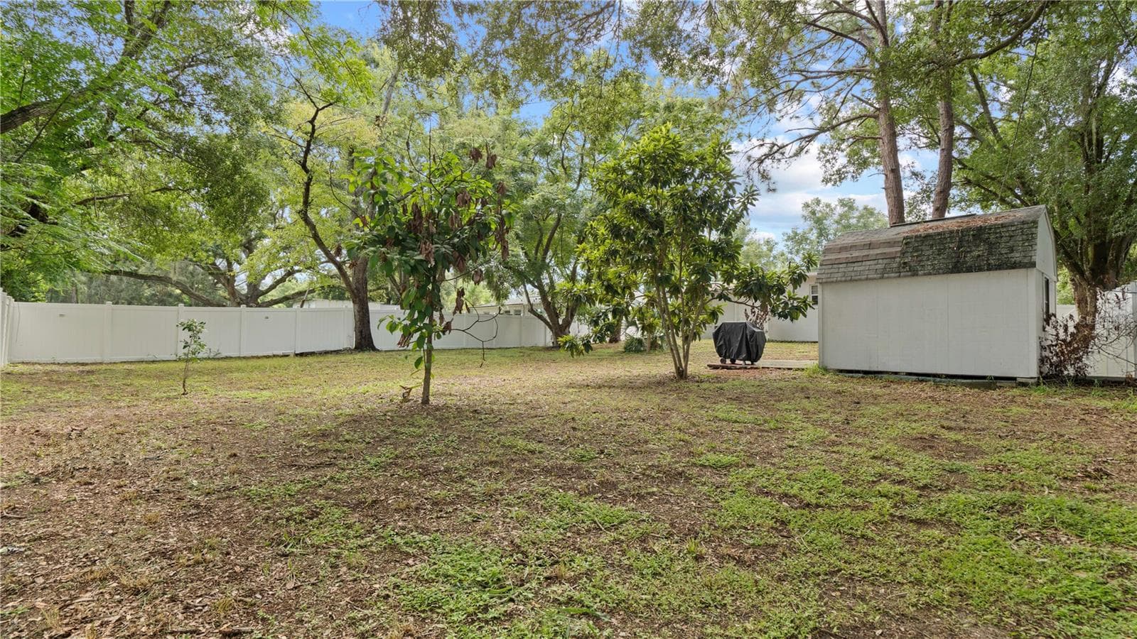 Backyard - 1124 W DESOTO ST, CLERMONT