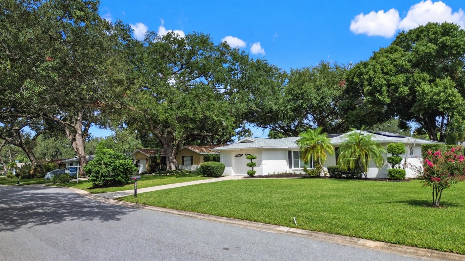 Single Family Residence at 2040 FOREST DR, CLEARWATER, photo 3 of 24