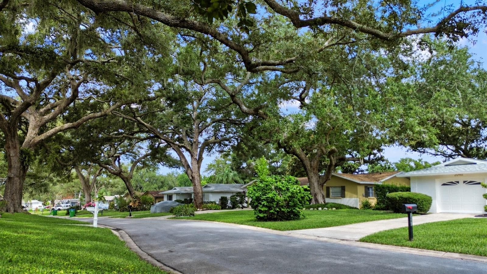 Single Family Residence at 2040 FOREST DR, CLEARWATER, photo 5 of 24