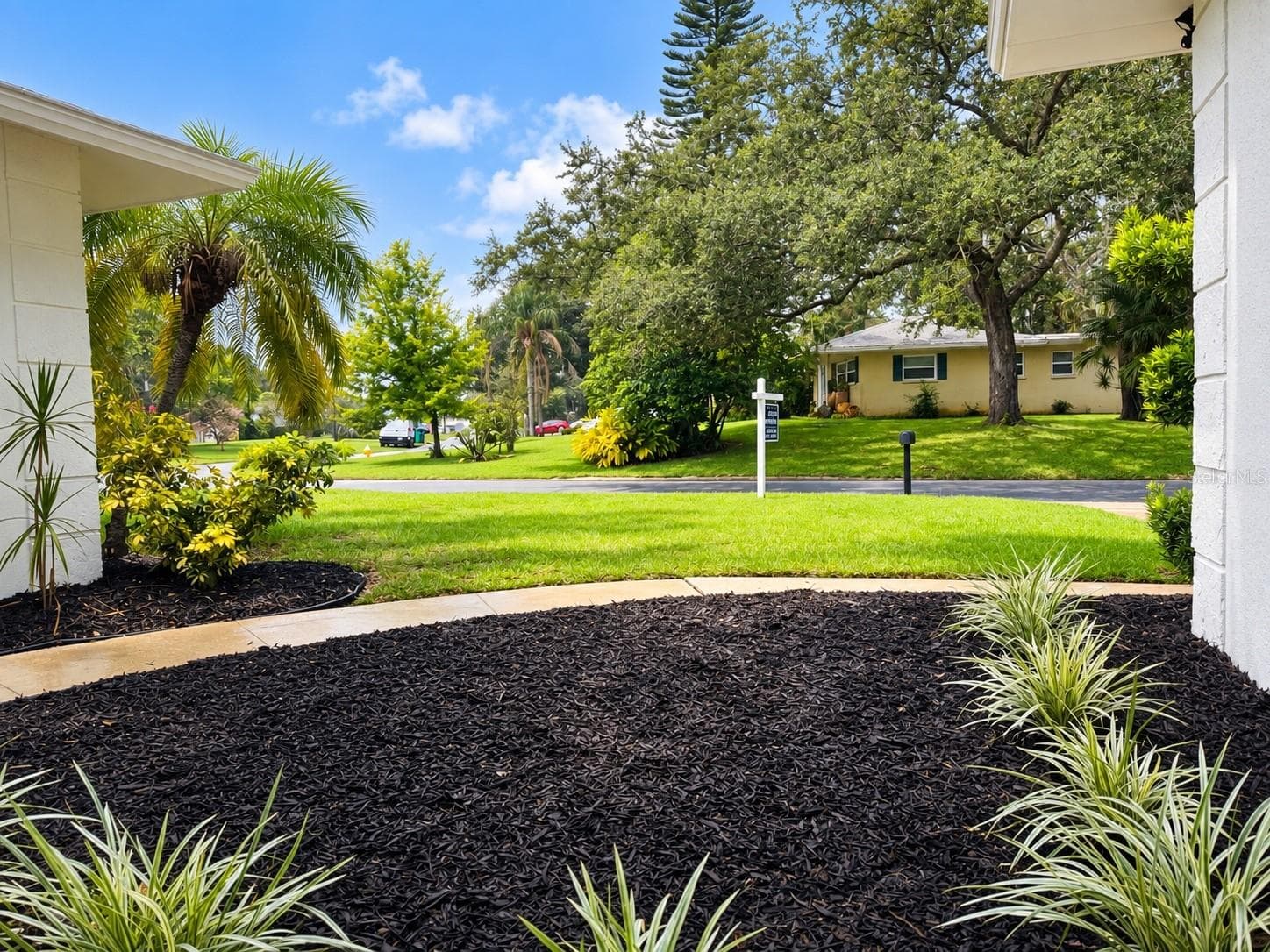 Single Family Residence at 2040 FOREST DR, CLEARWATER, photo 6 of 24