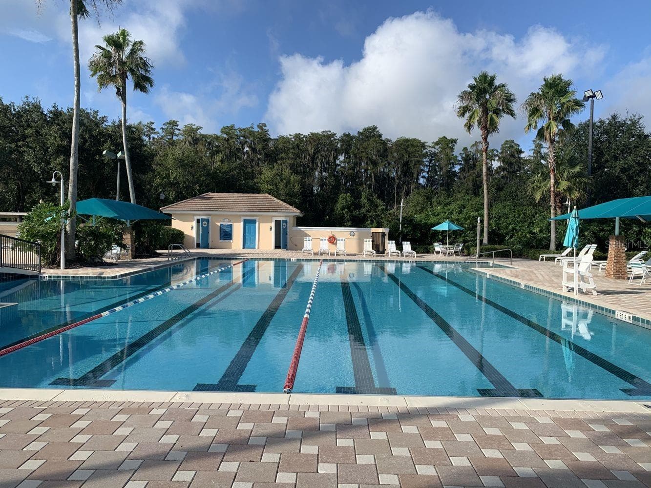 LAP POOL - 6738 VISTA PARK BLVD, ORLANDO