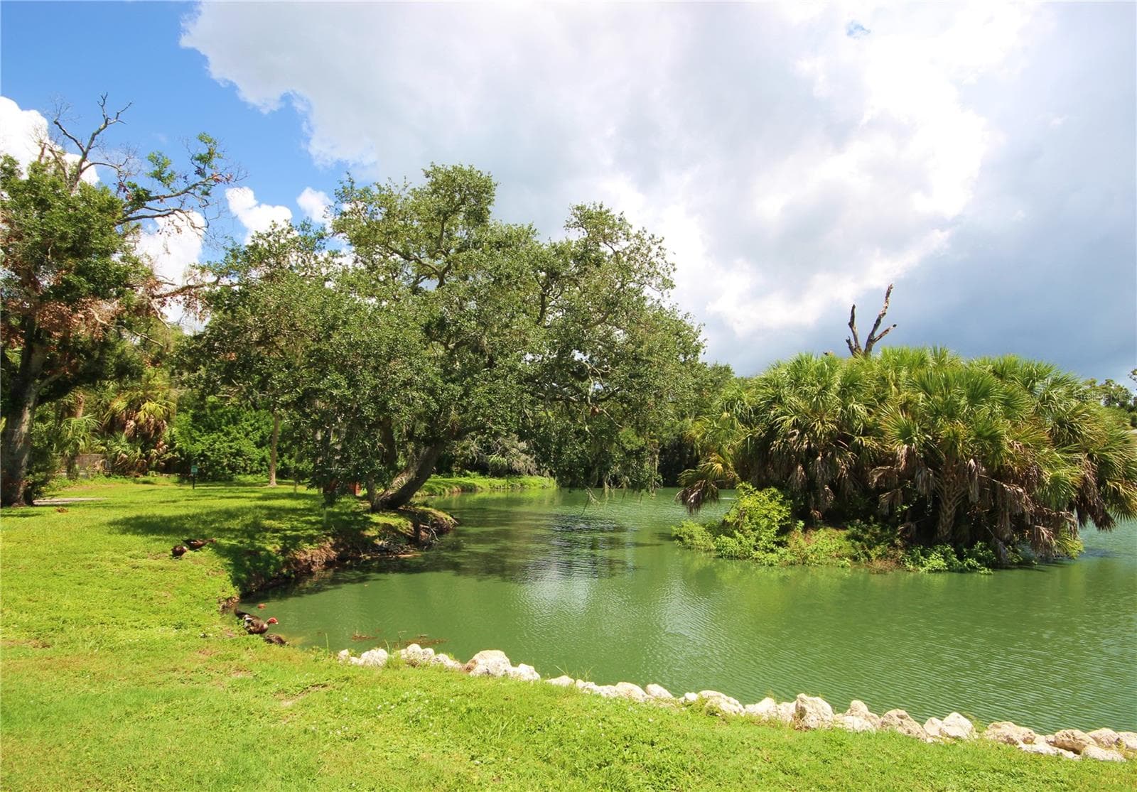 Condominium at 4805 RILMA AVE #106, SARASOTA, photo 7 of 28