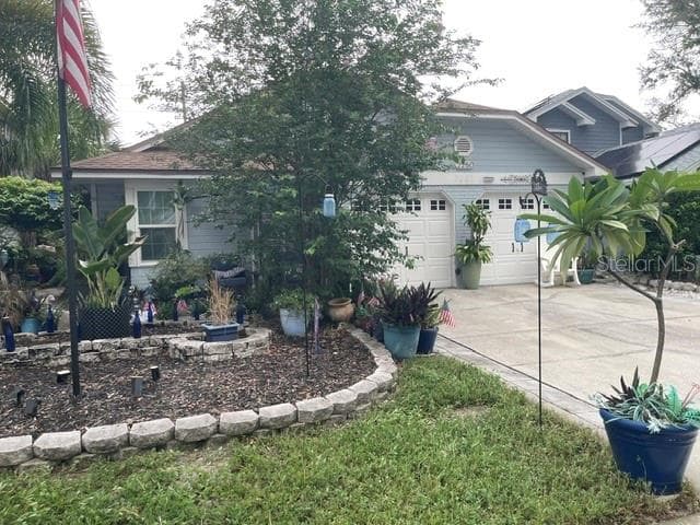 Peanut grass low maintenance - 2250 SPRINGWOOD CIR W, CLEARWATER