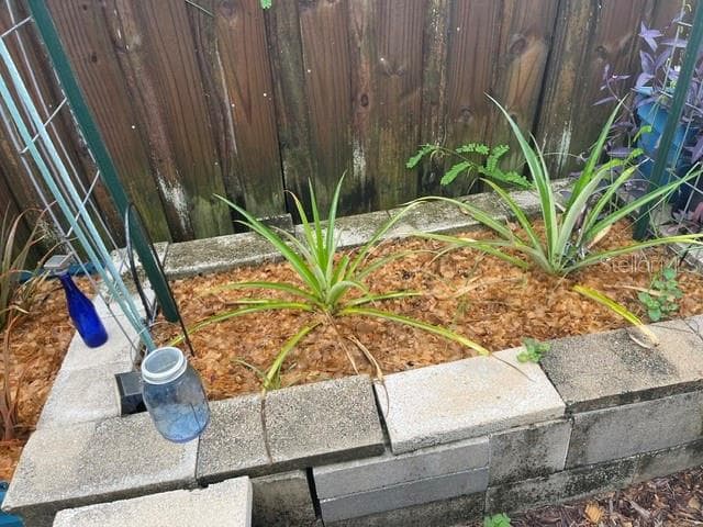 Pineapple plants - 2250 SPRINGWOOD CIR W, CLEARWATER