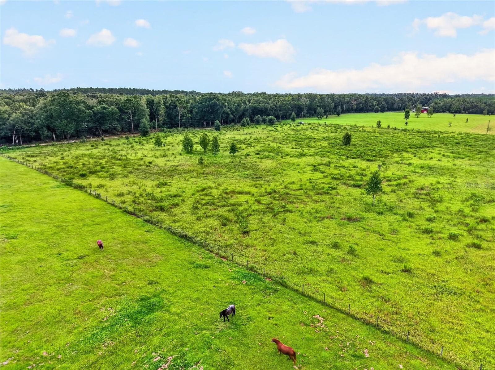 Land at 0 173RD RD, LIVE OAK, photo 9 of 20