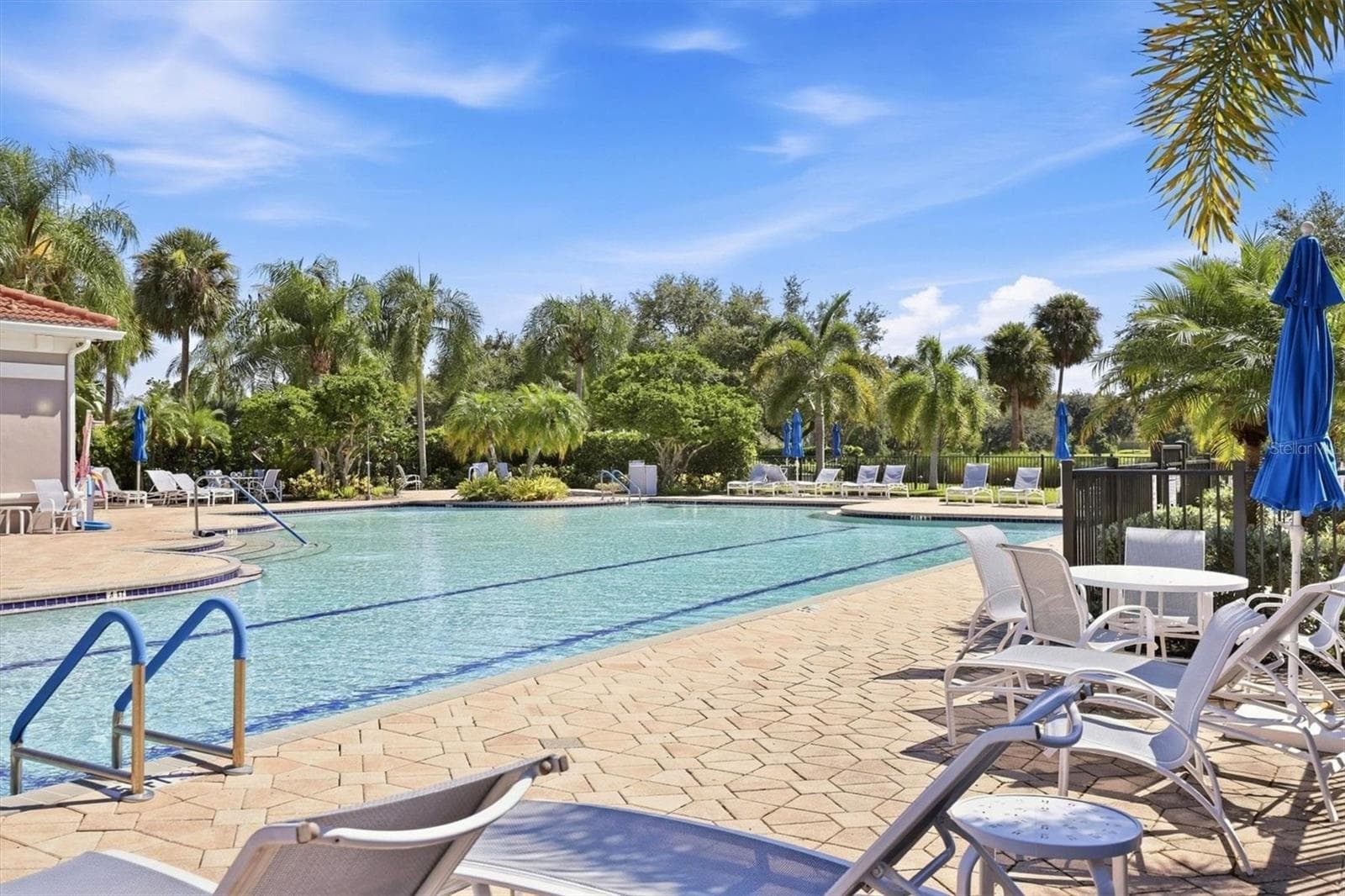 Community Pool - 8138 VICTORIA FALLS CIR, SARASOTA