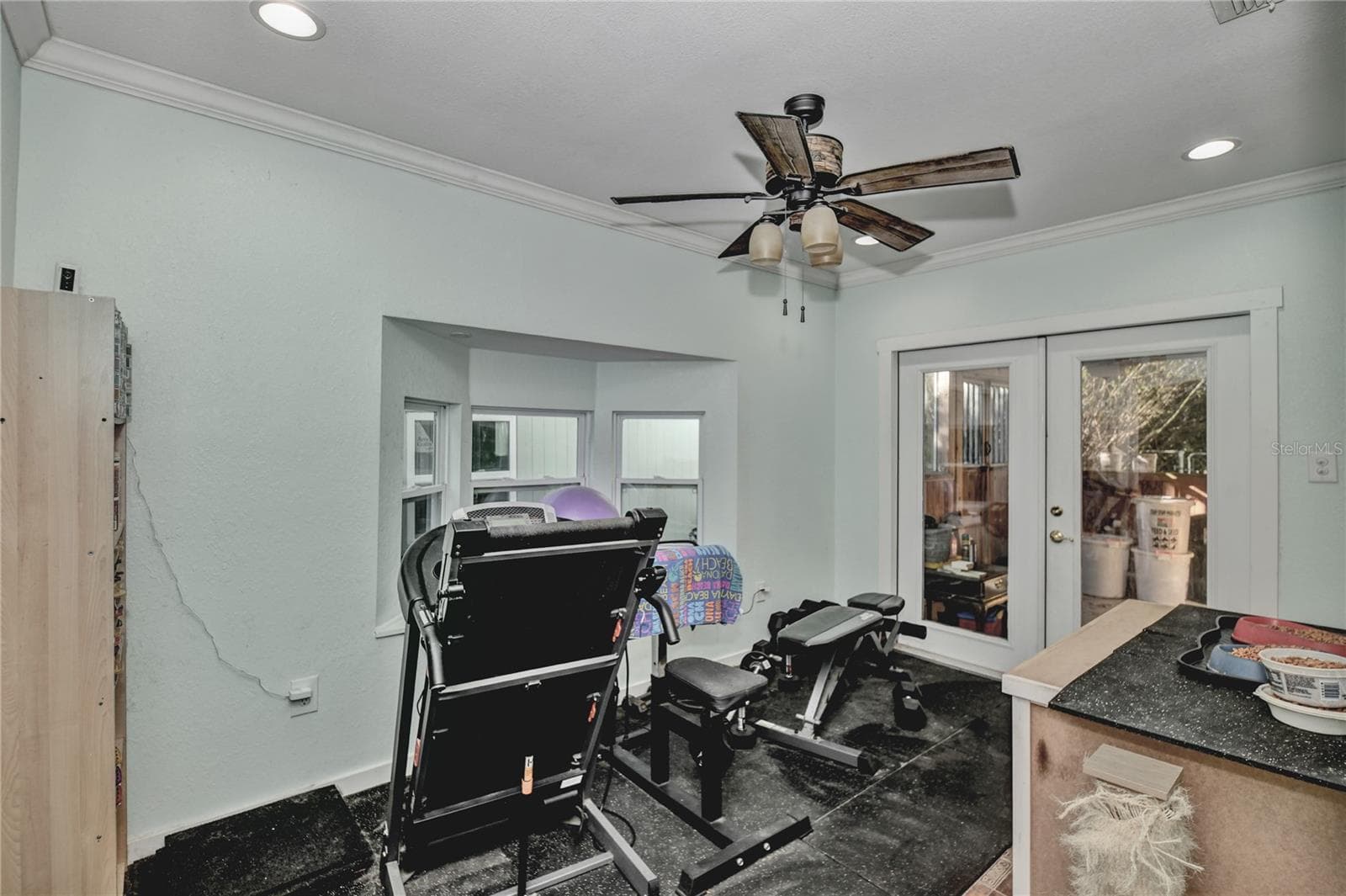 Lania room frnch door, bayview windows, ceiling fan - 10958 SW 86TH CT, OCALA